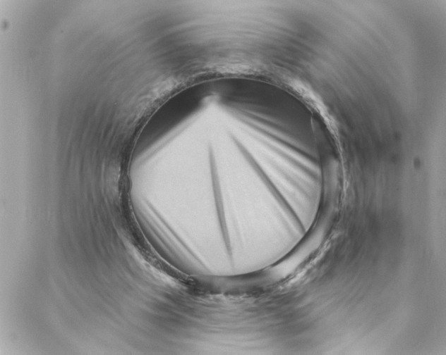 X0000088160201200706051100