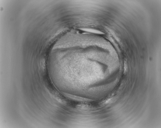 X0000088160211200706051059