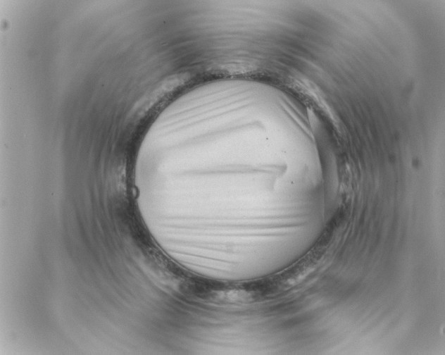 X0000088160212200706051059