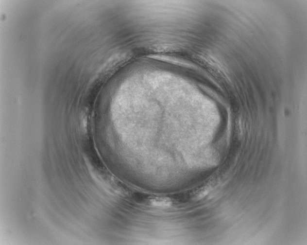 X0000088160214200706051059