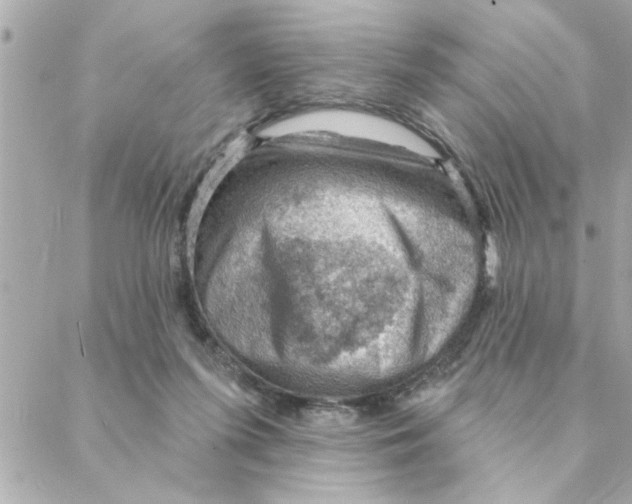 X0000088160215200706051059