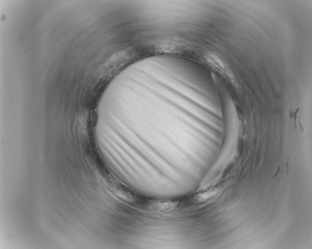 X0000088160217200706051059