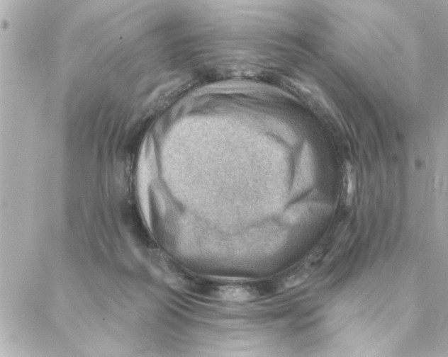 X0000088160218200706051059