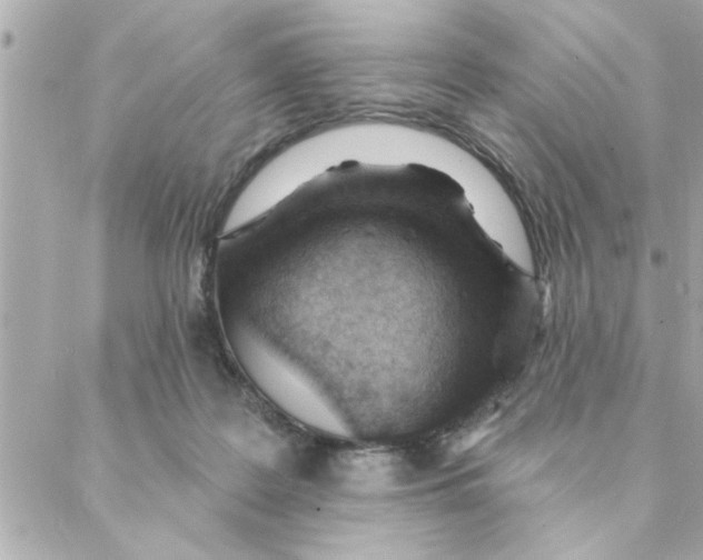 X0000088160219200706051059