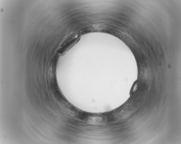 X0000088160220200706051059