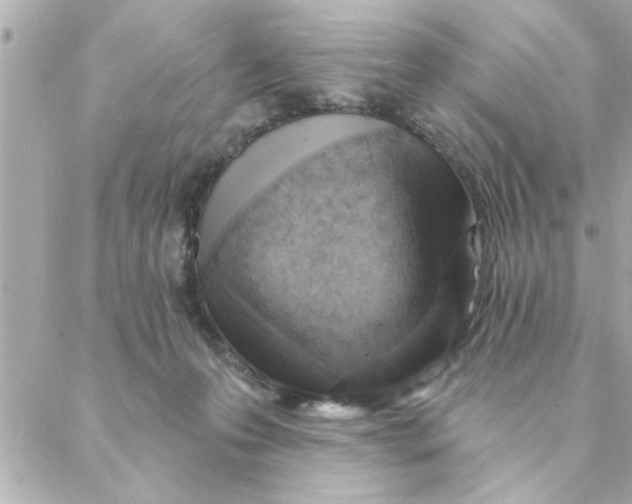 X0000088160223200706051059