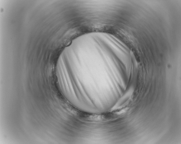 X0000088160225200706051059