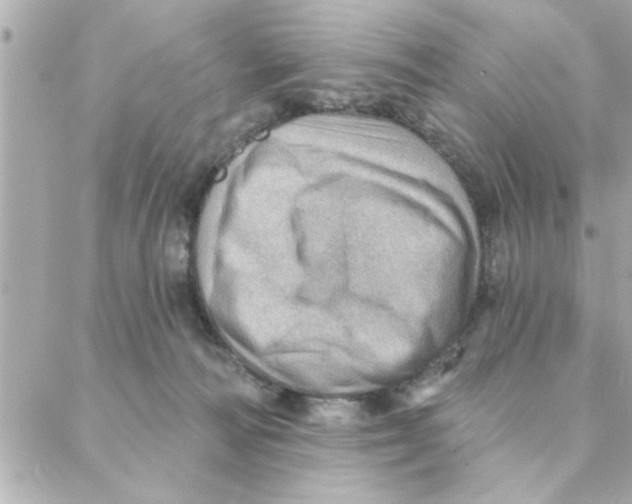 X0000088160226200706051059