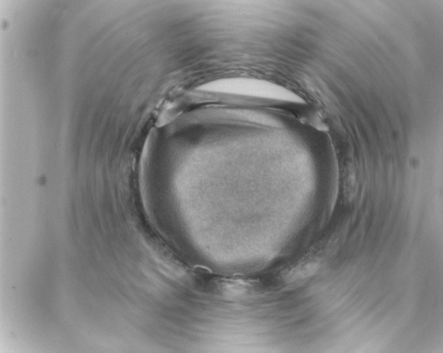 X0000088160229200706051059