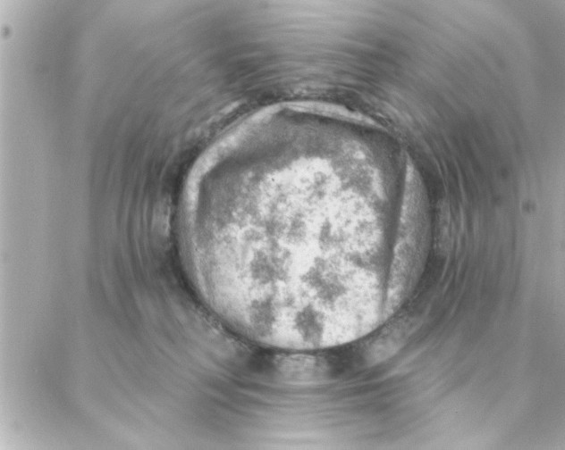 X0000088160230200706051059