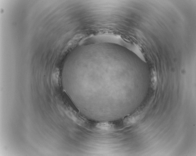 X0000088160231200706051059