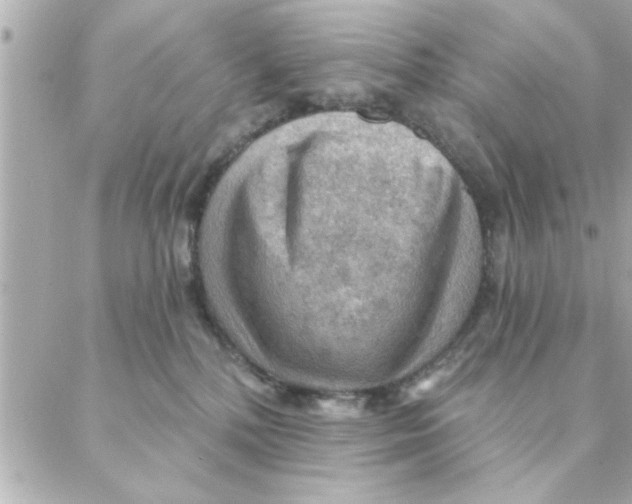 X0000088160232200706051059