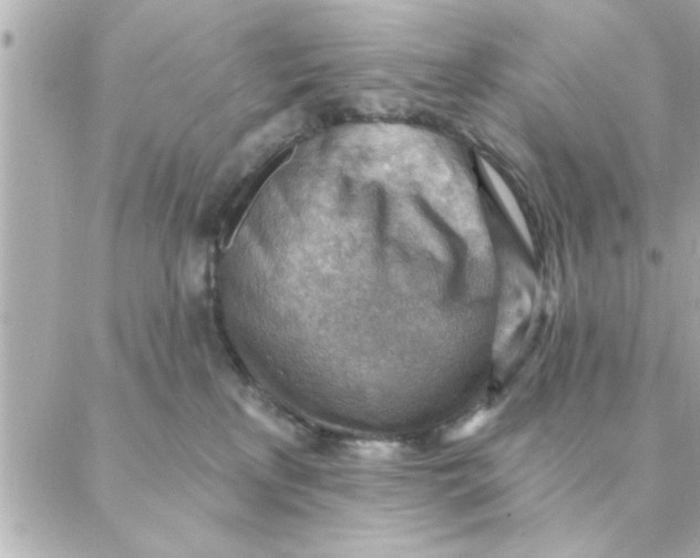 X0000088160233200706051059