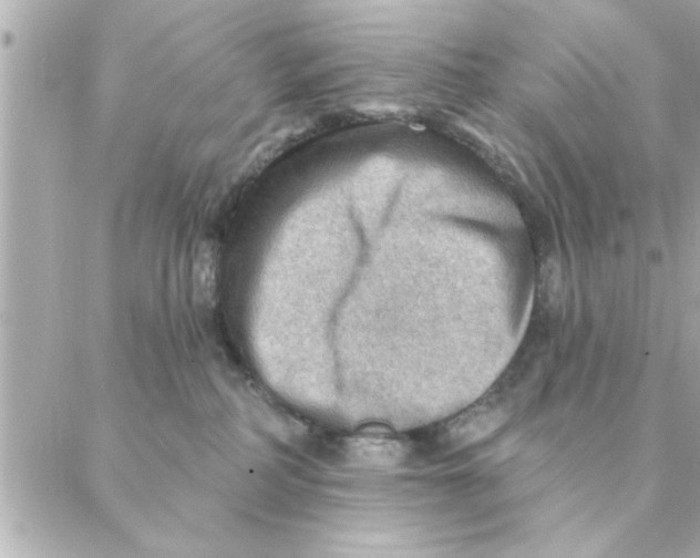 X0000088160234200706051059