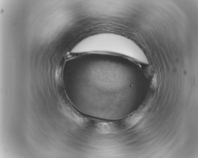 X0000088160239200706051059