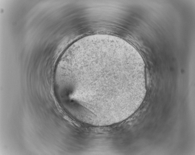 X0000088160241200706051058