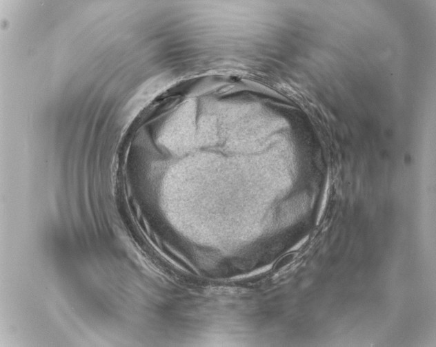 X0000088160242200706051058