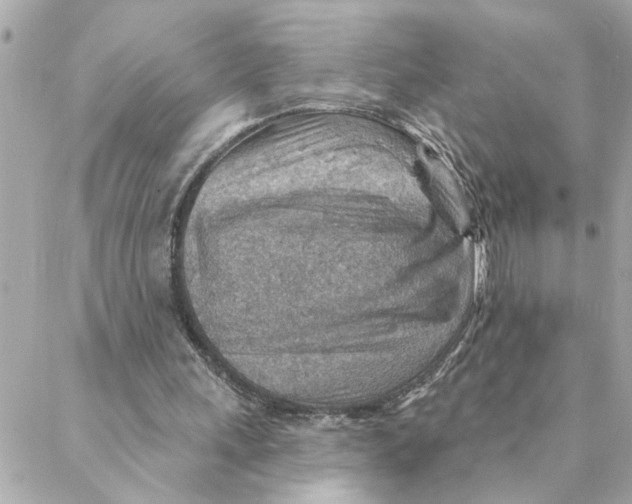 X0000088160243200706051058