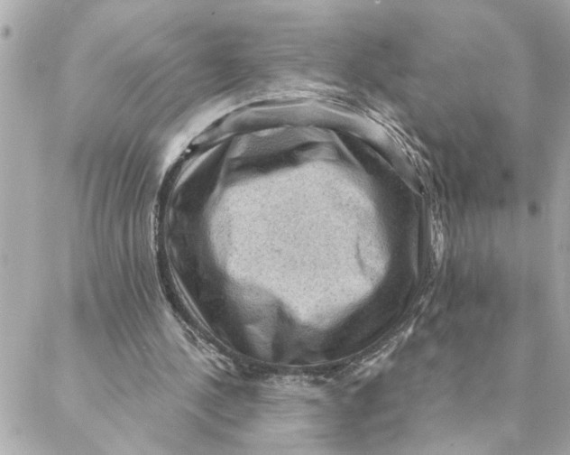 X0000088160244200706051058