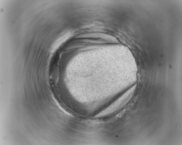 X0000088160245200706051058