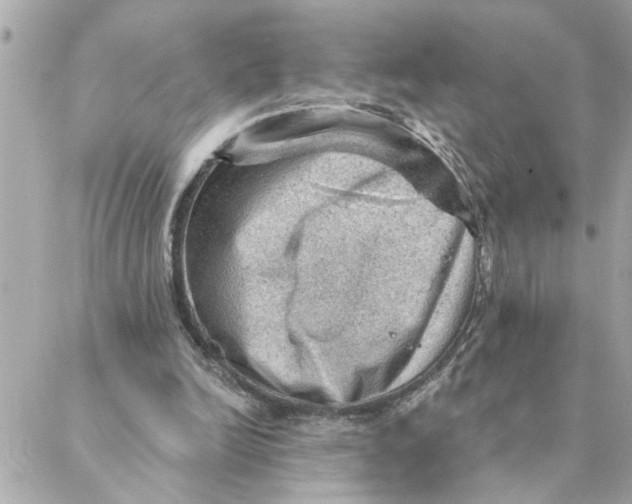 X0000088160246200706051058