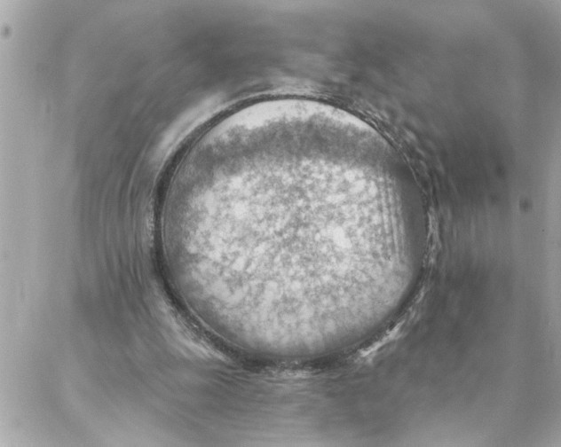 X0000088160247200706051058