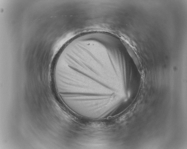 X0000088160248200706051058