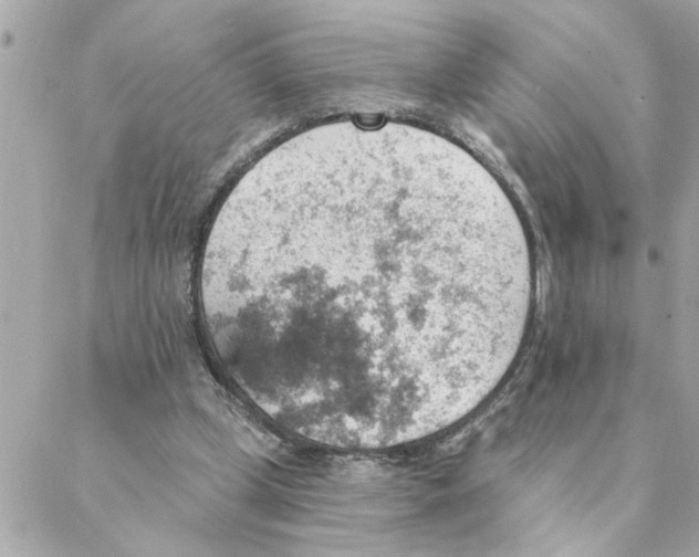 X0000088160249200706051058