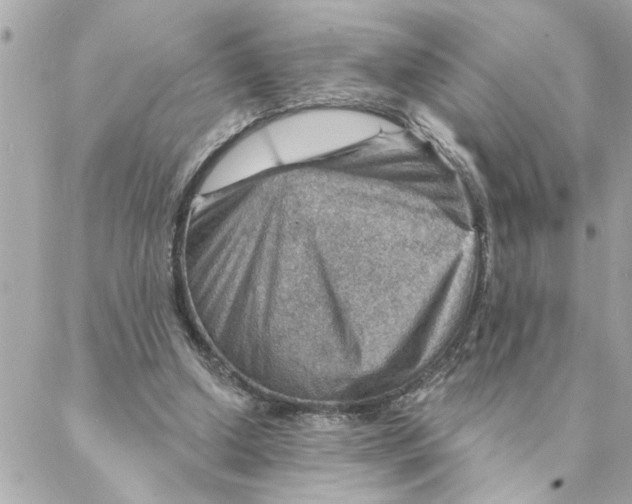 X0000088160250200706051058