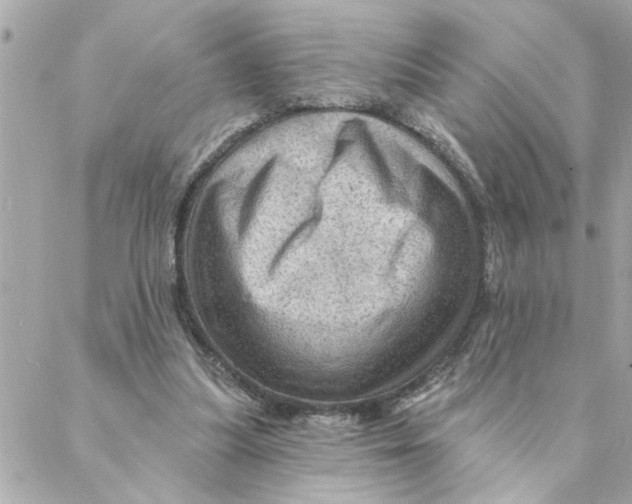 X0000088160251200706051058