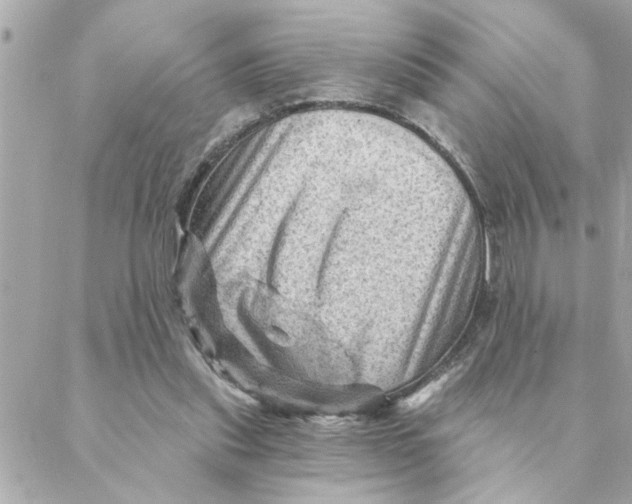 X0000088160253200706051058