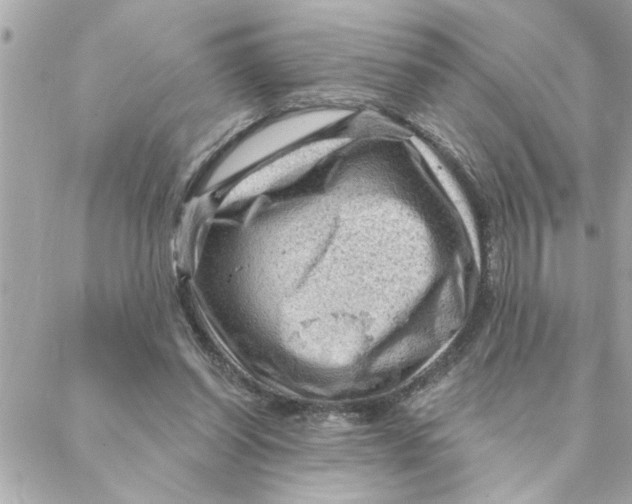 X0000088160254200706051058