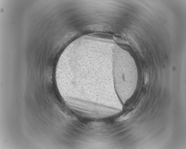 X0000088160255200706051058