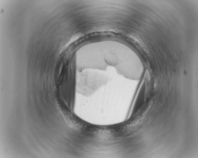 X0000088160256200706051058