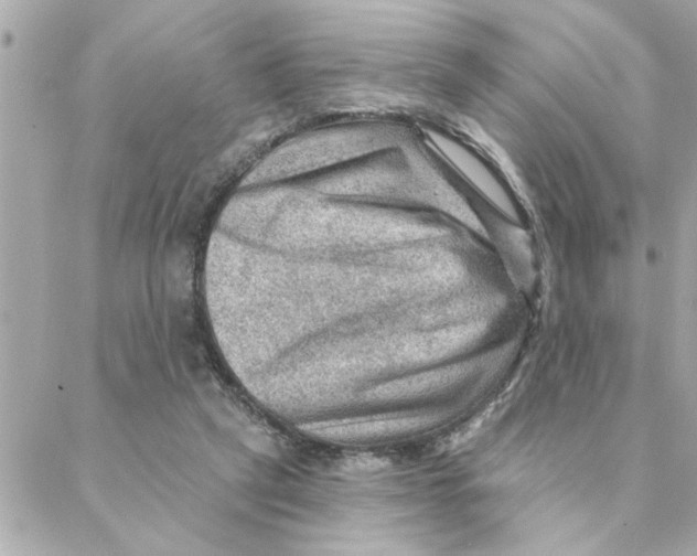 X0000088160257200706051058