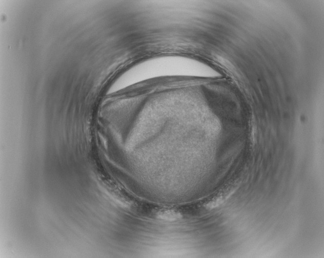 X0000088160258200706051058