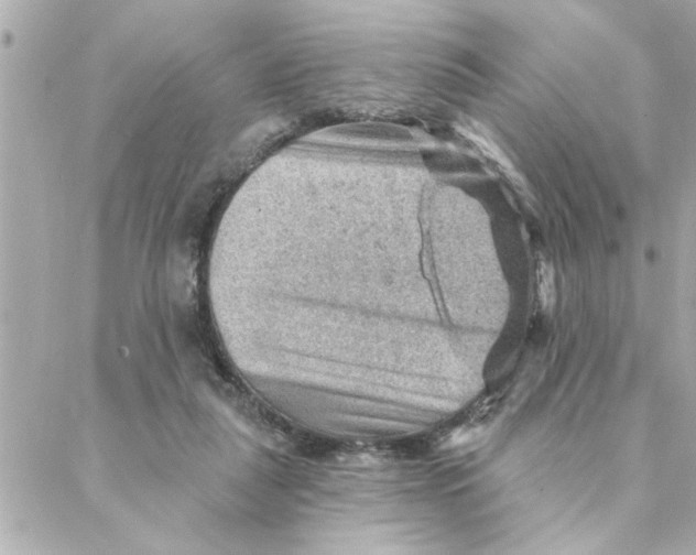 X0000088160259200706051059