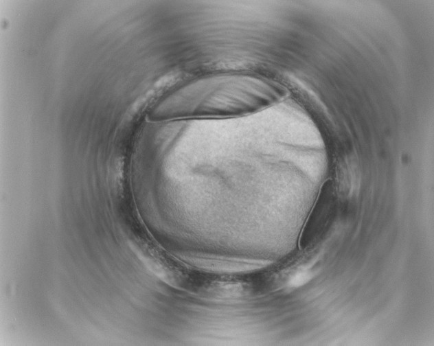 X0000088160260200706051059