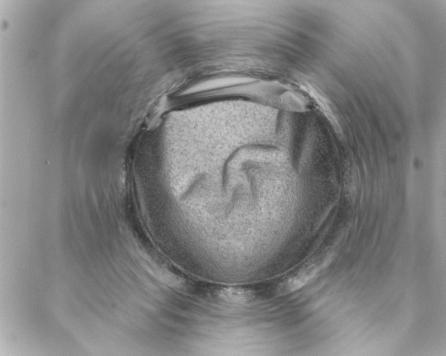 X0000088160261200706051059