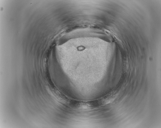 X0000088160263200706051059