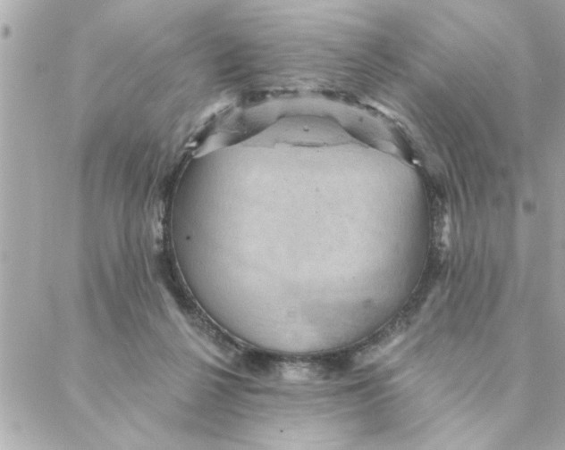 X0000088160264200706051059