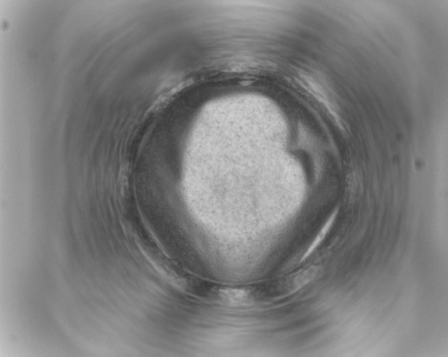 X0000088160265200706051059