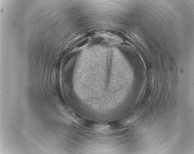 X0000088160266200706051059