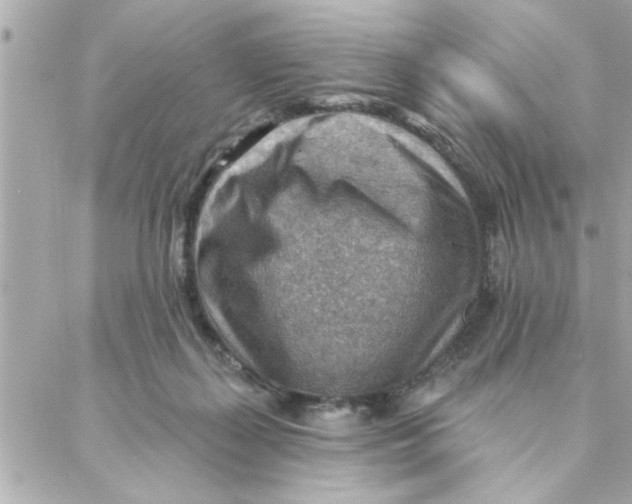 X0000088160267200706051059