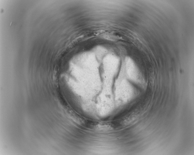 X0000088160270200706051059