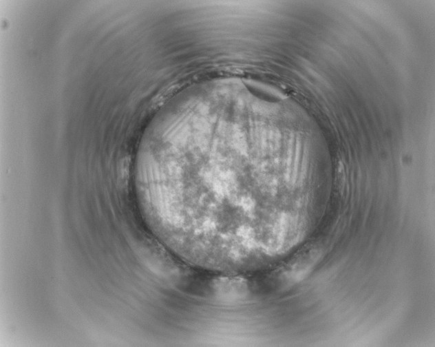 X0000088160271200706051059