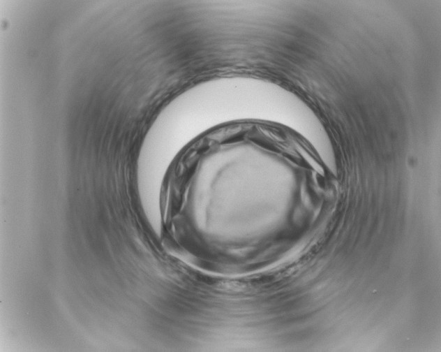 X0000088160272200706051059