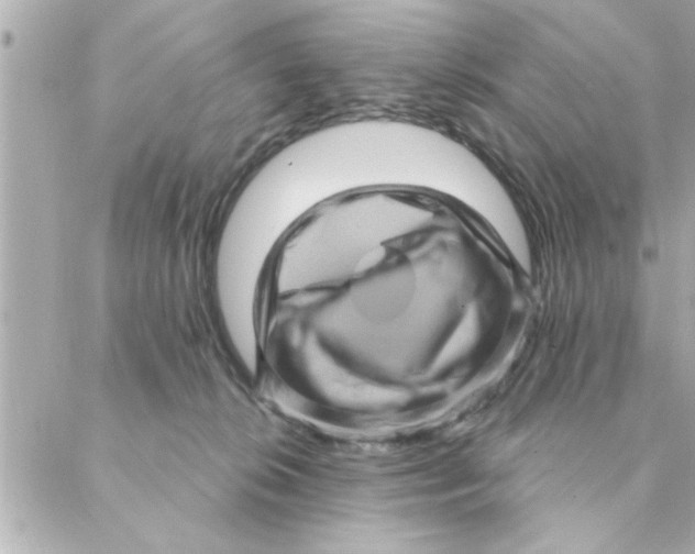 X0000088160276200706051059