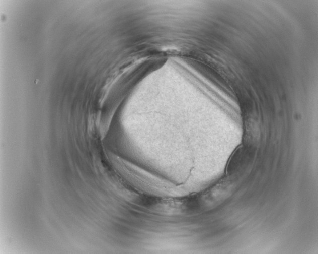 X0000088160278200706051059