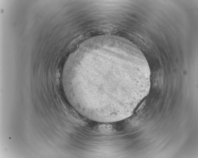 X0000088160279200706051059